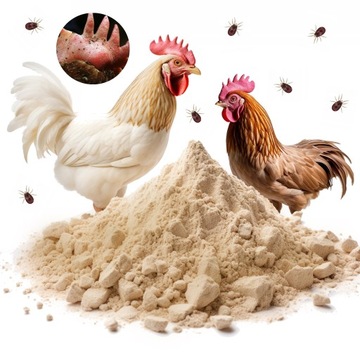 NATURALNA Ziemia Okrzemkowa Ptaszyniec 20kg BIO! DLA KUR PRODUKCJA POLSKA !