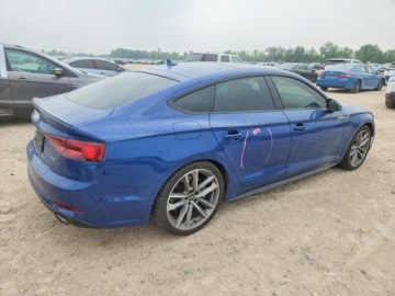 Audi A5 F5 2019 Audi A5 Sportback Premium Plus S-Line 2019 2.0 Benzyna 248KM, zdjęcie 3