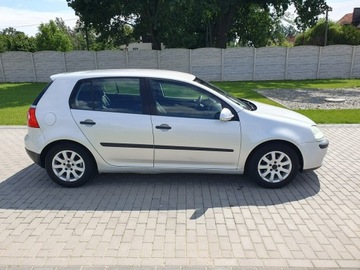 Volkswagen Golf V Hatchback 1.9 TDI 105KM 2004 Volkswagen Golf 1.9tdi 105KM 5 Drzwi Klima Raty, zdjęcie 7