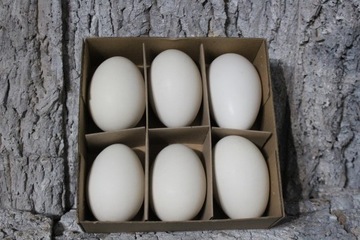 ЯЙЦА, ВДУННЫЕ ЯЙЦА, НАТУРАЛЬНЫЕ ПАСХАЛЬНЫЕ ЛЕБЕДИ, 6 шт.