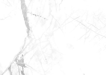 PŁYTKI ŚCIENNE SPC 30X60 ŁAZIENKA Calacatta Snow