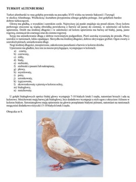 АЛЬБОМ «АТЛАС ГОНОЧНЫХ И ГОНОЧНЫХ ГОЛУБЕЙ + CD»