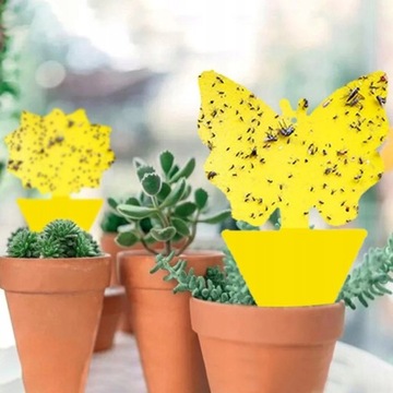 ЖЕЛТАЯ РАЗДВИЖНАЯ ДЛЯ ЦВЕТОЧНОГО ВАЗА INSECT PARTY PARTY 60x