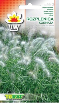 Trawa ozdobna - Rozplenica kosmata 12 sztuk Piękna NASIONA
