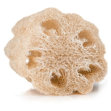 Gąbka do mycia i masażu Luffa Loofah naturalna
