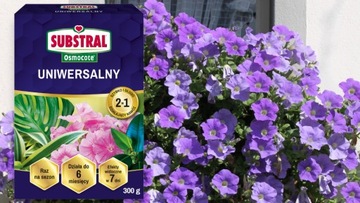 УНИВЕРСАЛЬНОЕ УДОБРЕНИЕ OSMOCOTE 2IN1 FLOWER STORM РАБОТАЕТ ДО 6 МЕСЯЦЕВ.