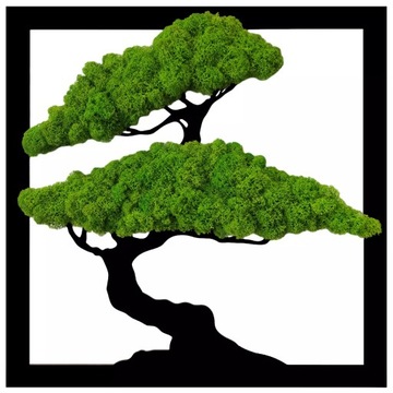 Obraz z mchu drzewo bonsai drzewko na prezent naturalny mech chrobotek 40cm