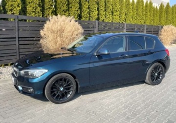 BMW Seria 1 F20-F21 Hatchback 5d Facelifting 2015 116d EfficientDynamics Edition 116KM 2016 BMW Seria 1 LIFT 116d EDE Centennial High Executive Serwis 1-wlasciciel A, zdjęcie 3