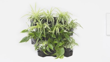 Модуль комплекта гидропоники AQUAEL Versa Garden Plus