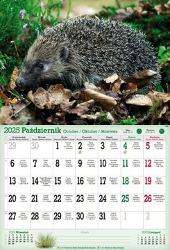 Kalendarz 2025 A3 ŚCIENNY6 PLANSZOWY MIESZKACY PUSZCZY KALENDARZ MYŚLIWSKI