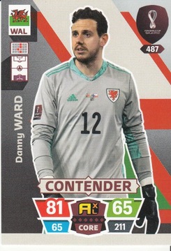 World Cup Qatar 2022 Contender WARD 487