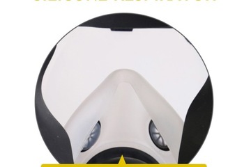 ЛИЦЕВАЯ АНТИГАЗОВАЯ КРАСКА 6800 5N11