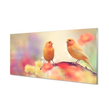 Szklany panel do kuchni Kolorowe papugi 100x50 cm