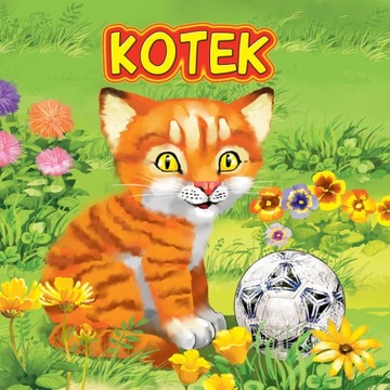 Książka Kotek Katarzyna Campbell