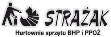 Промышленная аптечка, чемодан COMPANY, для компании, для школы, AP-10 DIN13164++