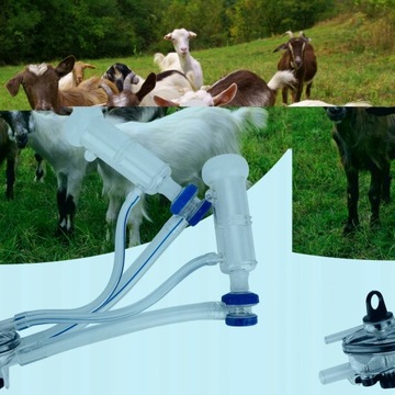 CZĘŚCI DOJARKI OWIEC UDOJOWY KÓZ DO DLA APARAT