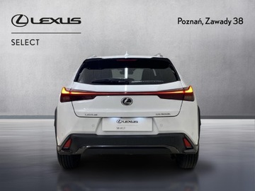 Lexus UX Crossover Facelifting 2.0 300h 199KM 2024 Lexus UX 300h F Sport Design Lexus UX 300h F Sport, zdjęcie 6