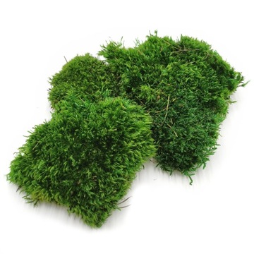 Подушка из болотного мха для Хроботека 0,25 м2