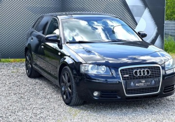 Audi A3 8P Hatchback 3d 2.0 TDI PD 140KM 2004 Audi A3 Sportback Gorzow Wlkp , 2x S-LINE, czarna Podsufitka 2.0 Diesel, zdjęcie 1
