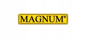 Migomat Magnum MIG 200 A MMA TIG Synergia 2T 4T 230V MIG 213 сварочный аппарат