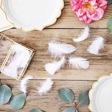 PIÓRKA DO DEKORACJI NA ŚWIĘTA BIAŁE OZDOBA NA STÓŁ