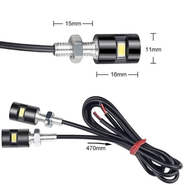 ВИНТ СВЕТОДИОДНОЙ ПОДСВЕТКИ НОМЕРНОГО ЗНАКА