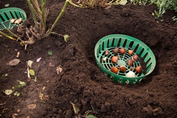 НАБОР 10x КОРЗИНА КРЫШКА ДЛЯ ПОСАДКИ ЛУКОВИЧНЫХ ЦВЕТОВ 215мм