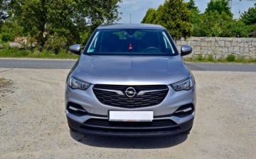 Opel 2019 Opel Grandland X Opel Grandland X 1.2 StartStop Business Elegance 1.2, zdjęcie 4
