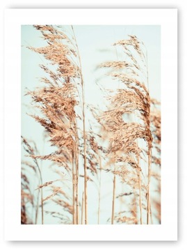 Boho TRAWY ROŚLINY plakat 30x40 cm wydruk #20J