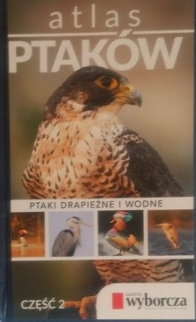 Atlas ptaków Ptaki drapieżne i wodne. Część 2 SPK