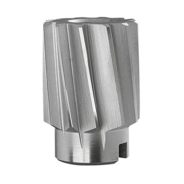 ROZWIERTAK MASZYNOWY WYKAŃCZAK NASADZANY DIN 219-B FENES 44 mm