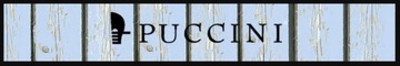 Puccini Masterpiece MU1701 1 skórzany portfel damski czarny RFID