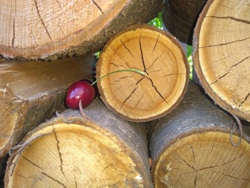 Дрова для костра и камина-гриля ТОПЛИВО для садовой печи-оча.