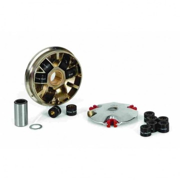 Wariator Rolki Peugeot Speedfight Ludix Vivacity