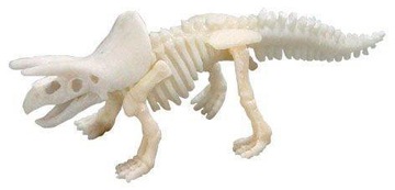 Отпечаток лапы большого скелета динозавра