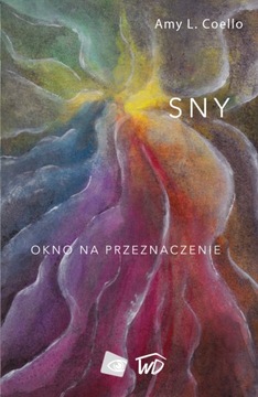 Sny. Okno na przeznaczenie - Amy Coello_OD WYDAWCY