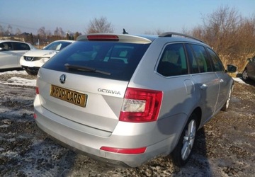 Skoda Octavia III 2017 Skoda Octavia Skoda Octavia 1.6 TDI Edition 1.6 Diesel 110KM, zdjęcie 2