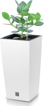 БОЛЬШОЙ УЛИЧНЫЙ ЦВЕТОЧНЫЙ ГОРШОК ИЗ РОТЕГА, БЕЛЫЙ С КРЫШКОЙ ДЛЯ ТЕРРАСЫ