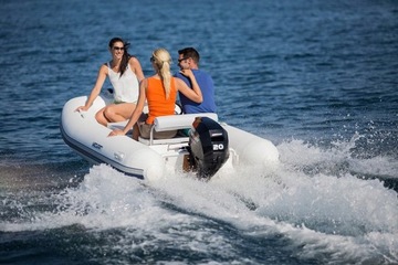 ПОДВЕСНОЙ ДВИГАТЕЛЬ MERCURY F20 MLH, ДЛИННЫЙ РУМПЕЛЬ