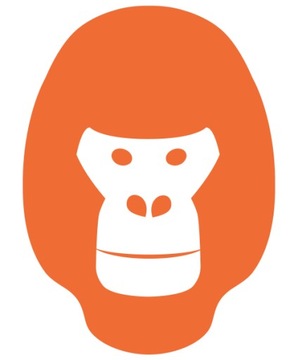 10x Tusze do LC970 LC1000 DCP-135C 150C 130C 357C