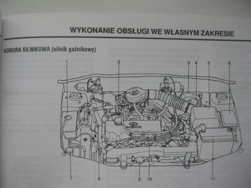 HYUNDAI ACCENT 94-00 Руководство по эксплуатации на польском языке