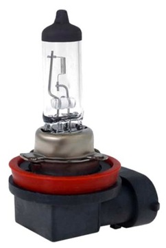 HALOGENOWA H11 PGJ19-2 12V 55W N5Y21 ŻARÓWKI ŻARÓW