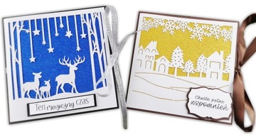 Świąteczne etui opakowanie na płytę CD z sesji -W5