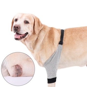 Pet Dog Joint Leg Joint Sleeve Rękaw ochronny XL