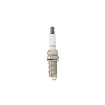 SWIECA ZAPL PLATINUM REC8PYB