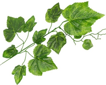 ЛИСТ ВИНОГРАДНЫЕ ЛИСТЬЯ ВЕТКИ ВИНОГРАДНЫЕ СТЕБЛИ ДЛЯ ЦВЕТОЧНЫХ ЦЕНТРОВ 12 шт.