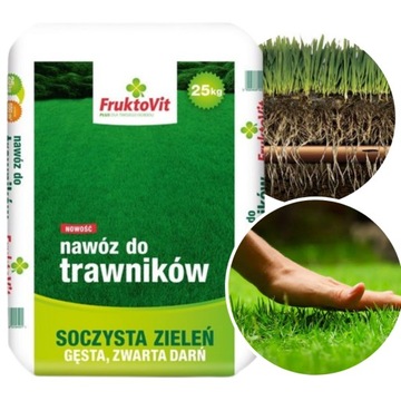 NAWÓZ WIOSENNY DO TRAWY ZAGĘSZCZAJĄCY TRAWNIK SZYBKI EFEKT DYWANOWY 25KG