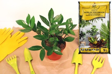 Грунт для субстрата ZAMIOKULKAS 5л