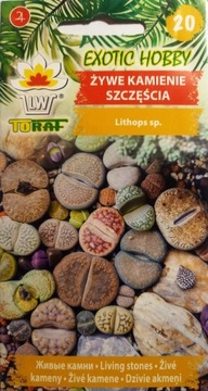 ŻYWE KAMIENIE Lithops ciekawostka 20szt. nasion