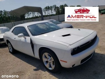 Dodge Challenger III 2019 Dodge Challenger Dodge Challenger 3.6 SXT